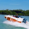 Image 5: Naples Extreme Family Fun – Deck & Pontoon Boat Adventures
