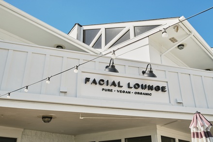 One Full Custom Organic Vegan Facial with LED Red Light - Facial Lounge