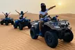 Desert Challengers Tourism: Desert Safari w/BBQ Dinner Live Shows&Optional Quad Bike/VIP Pick Up (Up To 65% Off) - Image 4