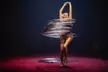 Circus Vargas Roseville 2025 at Westfield Galleria (August 29th - September 21st) - Second Medium