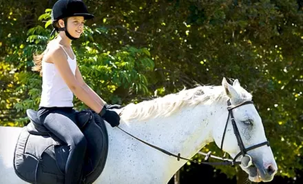 $39 for Two Private Horseback-Riding Lessons at Luton Riding Academy in Grosse Ile ($80 Value) - Primary Image