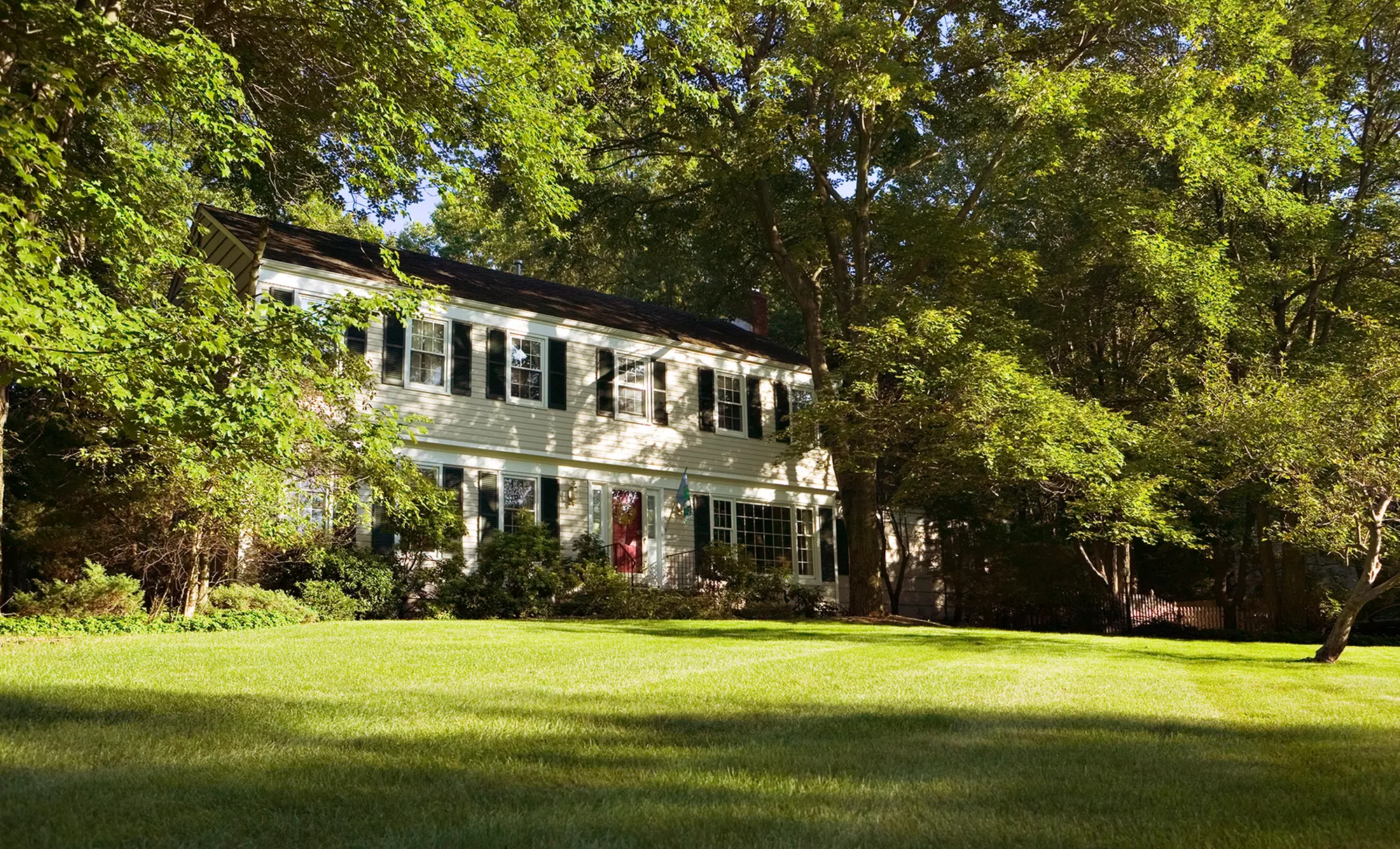 $49 for Weed Control and Crabgrass Treatment with Fertilizer or Full Fertilization Treatment ($128 Value) - Primary Image