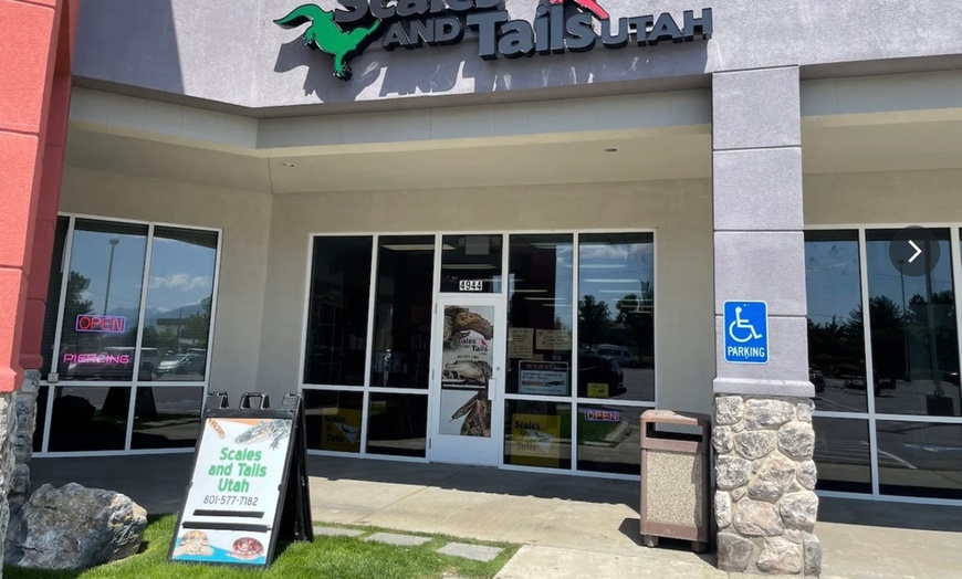 Image 5: Interactive Reptile Zoo Admission: Snakes, Lizards, and Tortoises!