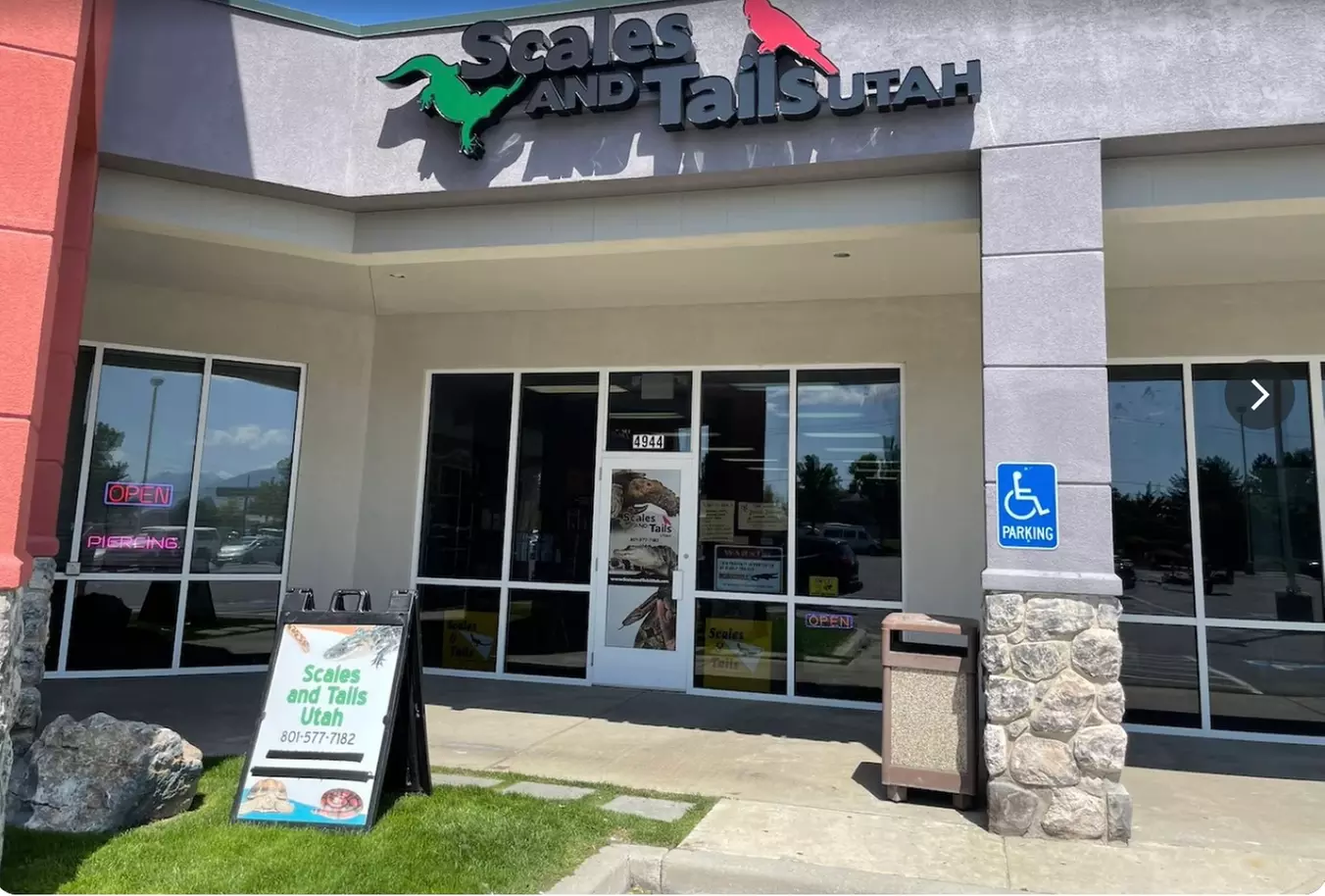 Interactive Reptile Zoo Admission: Snakes, Lizards, and Tortoises!