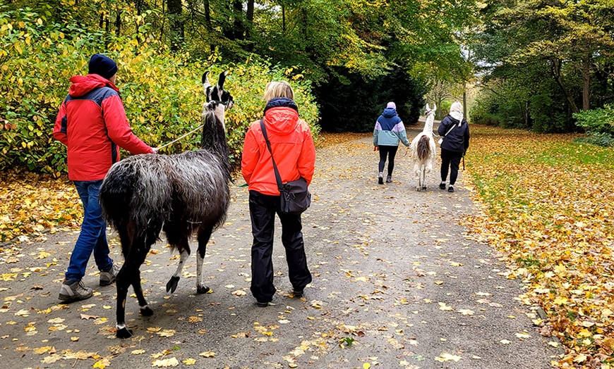 Image 5: 2-stündige Lama-Park-Wanderung für 2 Personen
