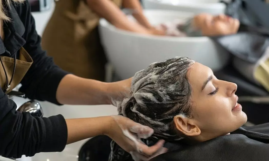 Haircut, Botanical Treatment & Style with Color or Highlights