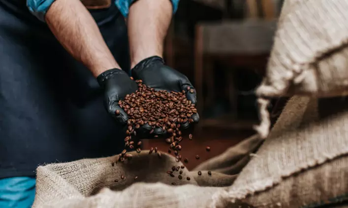 Werde zum Profi: Kaffee- oder Wein-Seminar mit Verkostung und Snacks