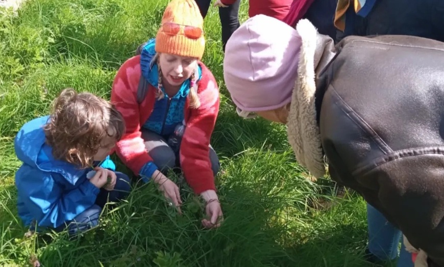 Image 6: Join the Adventure: Two or Four Person Foraging Tour Howth