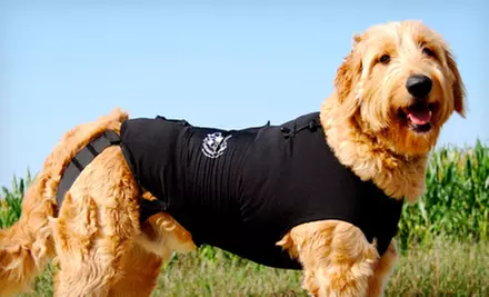 $24 for Original Anxiety Wrap for Dogs ($39.95 List Price). 11 Sizes Available. Free Shipping. - Primary Image