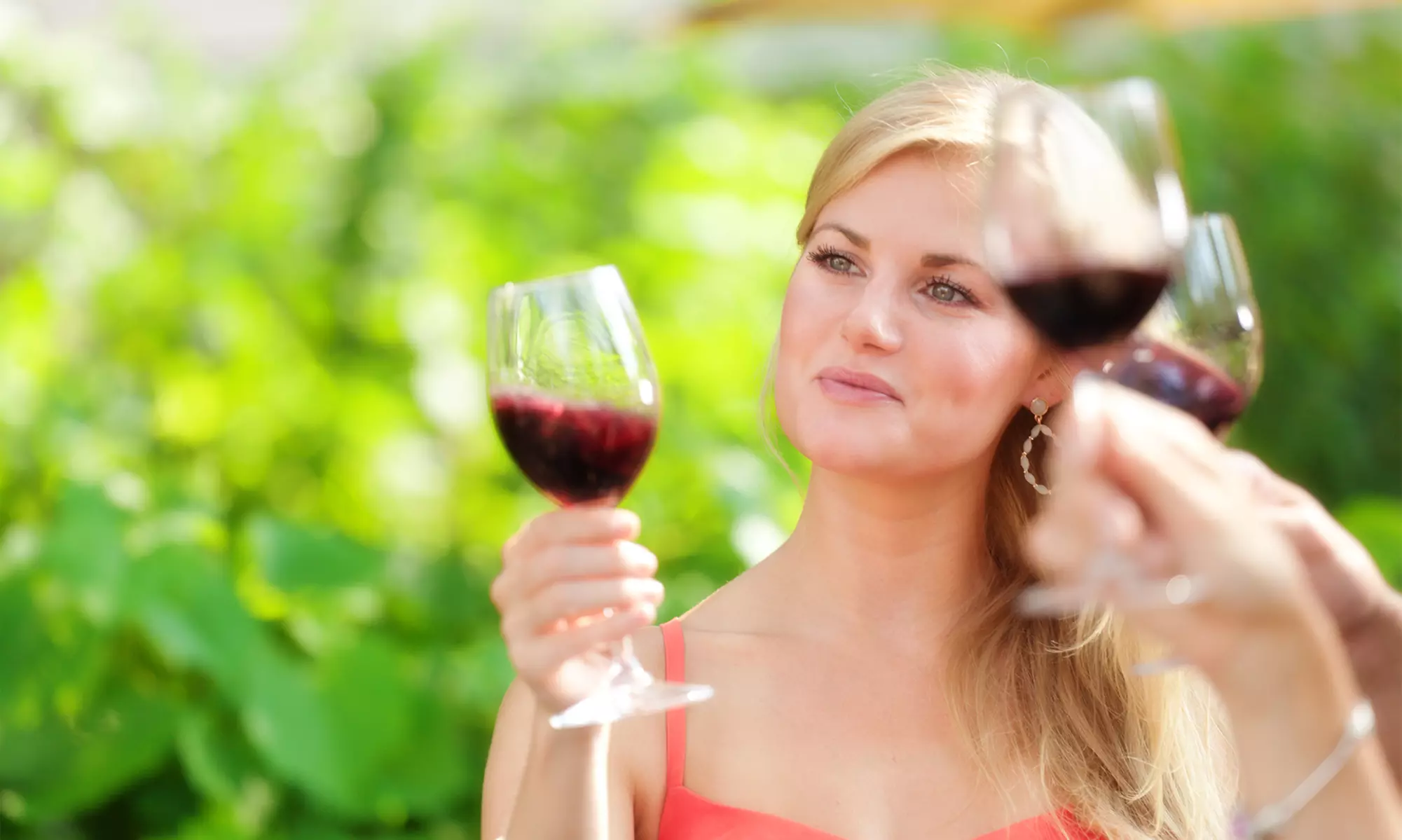 One-Year Wine Country Pass for One, Two, or Four from Wine Country Discounts (Up to 69% Off) - Primary Image