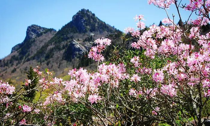 $25 for a Visit to Grandfather Mountain for Two (Up to $40 Value) - Primary Image
