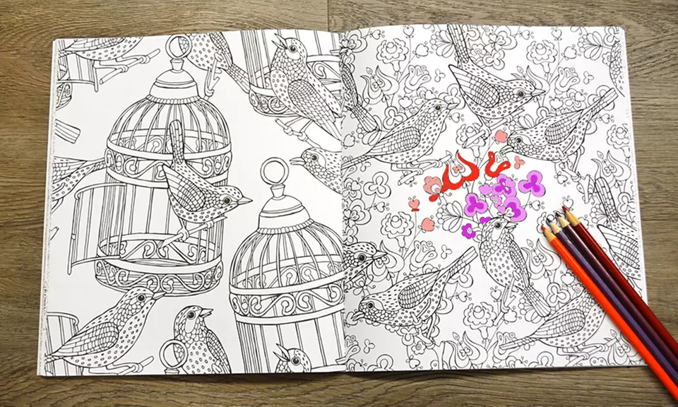 Adult Creative Coloring Books (4-Book Set) - Second Medium