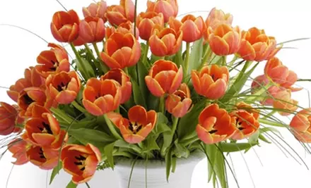 $45 for a Three-Class Flower-Arranging Program at Field of Flowers ($95 Value) - Primary Image