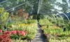 $15 for $30 Worth of Plants and Garden Supplies at Oriental Garden Supply in Pittsford