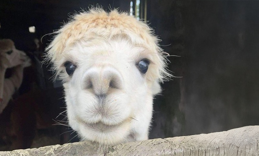 Image 1: Up to 57% Off on Zoo / Animal Park at Rustic Retreats