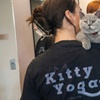 Image 4: Kitty Yoga Experience in Manchester – 1-Hour Class with Kittens