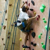 Image 10: All Day Climbing Pass with Equipment for One Child, Adult, or a Family