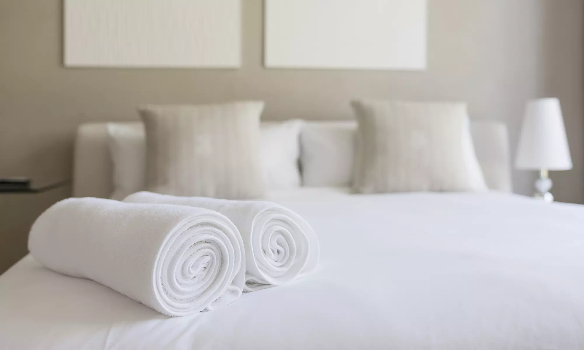 $440 for $800 voucher — BioGuard Pest Control, Charleston, SC - Primary Image