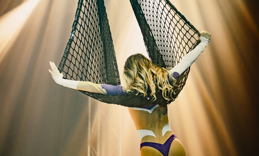 Image 9: Festival du cirque de Namur : édition anniversaire pour ses 20 ans