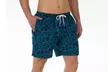 Franklin Fox Men's Volley Swim Trunks. Multiple Styles Available. - Second Medium