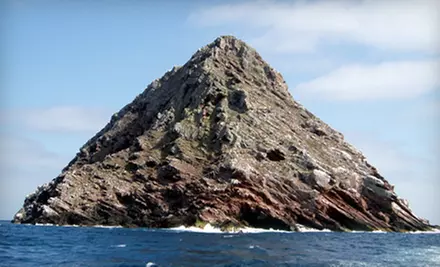 $69 for an Eight-Hour Coronado Islands Cruise Including Breakfast, Lunch, and Drinks from Pacific Nature Tours ($140 Value) - Primary Image
