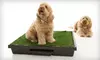 $75 for a Small Dog Potty from Pup-Pee Solutions ($149 Value)