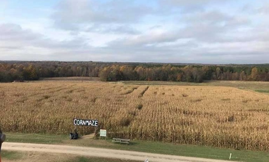 Image 3: 42% Off Corn Maze and Pumpkin Patch at Chesterfield Berry Farm