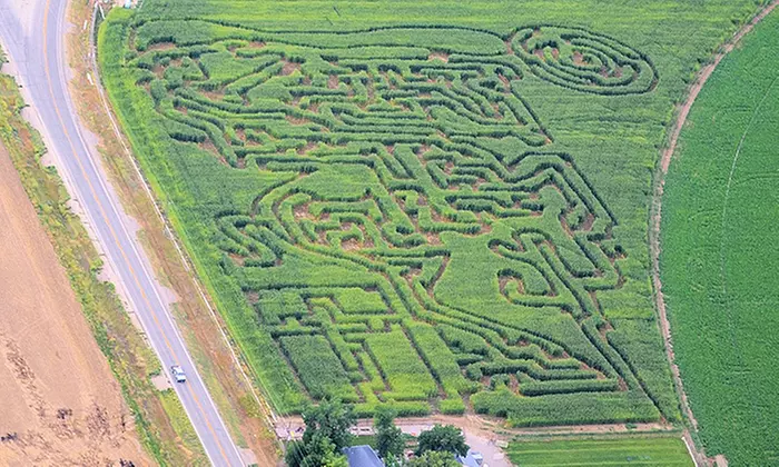 Corn-Maze Admission for Two or Four at Lungren Girls' Farm (50% Off) - Primary Image