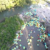 Image 3: River Tubing Adventure with Transportation – San Marcos River