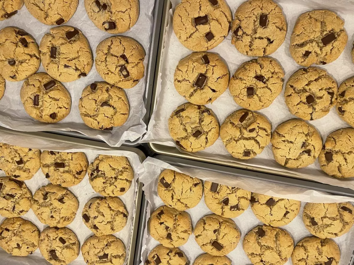 Experience Vegan Food Festival -  Express Tickets for 1, 2, or 3