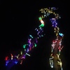 Image 9: Drive-Thru Christmas Lights, Through Jan 3, 2026 – Central Texas