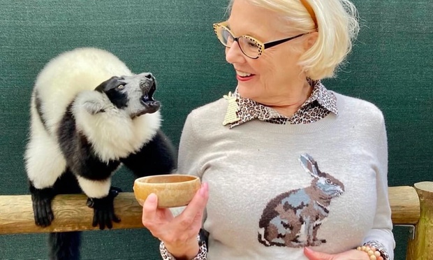 What to expect media