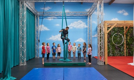 One Class of Your Choice for One Person (aerial silks, hoops, pole, parkour, tumbling, yoga or juggling) - Aeroterra Arts in Phoenix, AZ