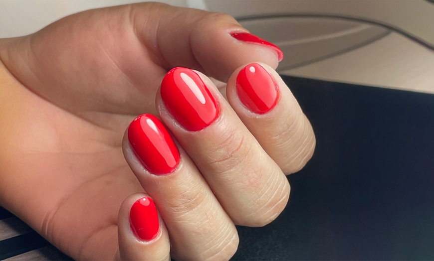 Image 5: Get a Shellac Manicure or/and Pedicure for a Flawless Look