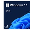 Image 10: Win 10 u 11 Pro, Home y más: clave de producto de por vida para 1 PC