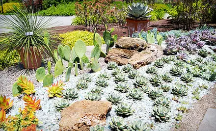 Twilight at Twigs Musical Series and Refreshments for Two or Four at Tower Hill Botanic Garden (Half Off) - Primary Image