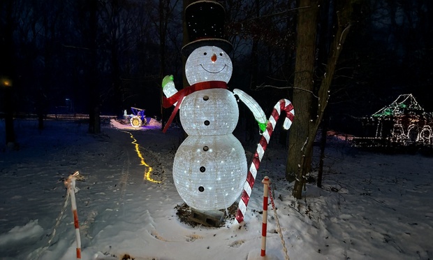 What to expect media