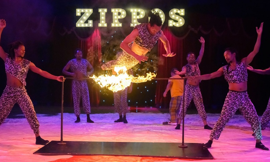 Image 8: Zippos Circus