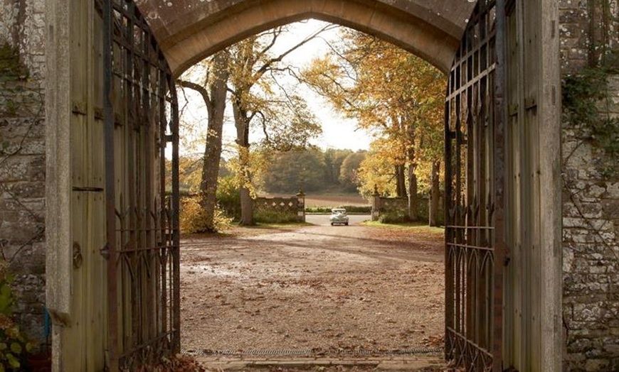 Image 4: Athelhampton House and Gardens