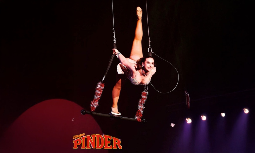 Image 9: 1 place pour le Grand Cirque Pinder à Nantes