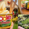 Image 13: Up to 65% Off Oahu Full-Day Island Tour - Aloha Fantasy Tours