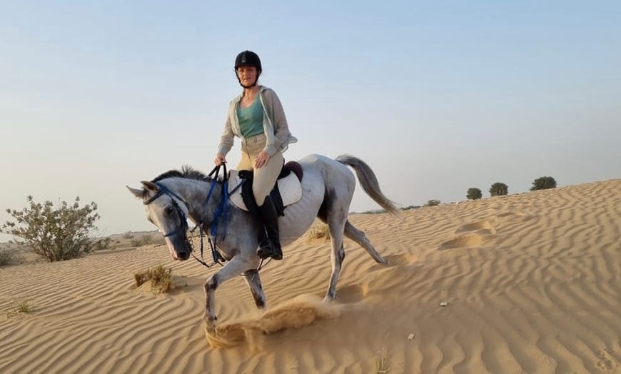 Image 3: One-Hour Desert Horse Riding Experience with M3 Stables