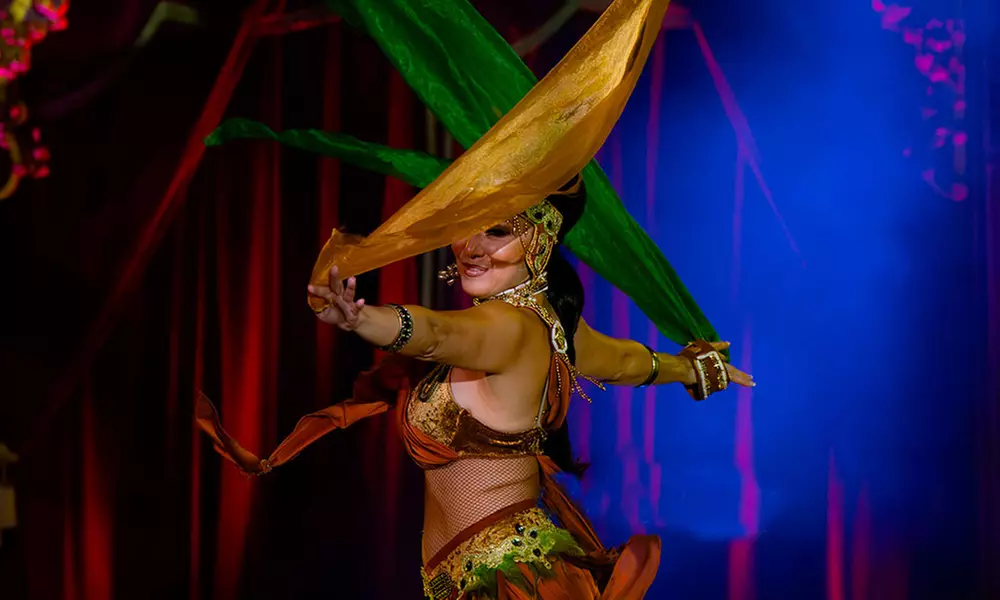 Circo "Terra": entrada a elegir del 22 de enero al 1 de febrero