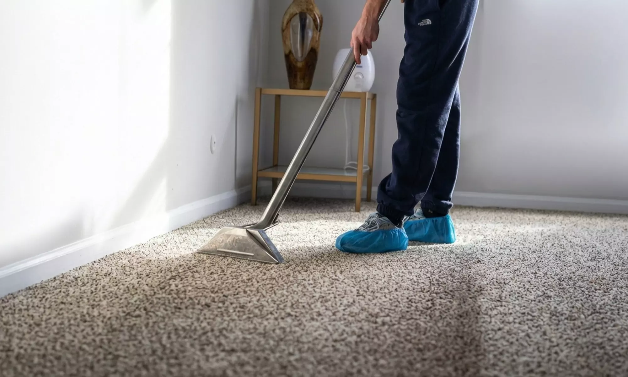 Carpet Cleaning for Two, Three, Four or Five or Upholstery/ Pet Spot