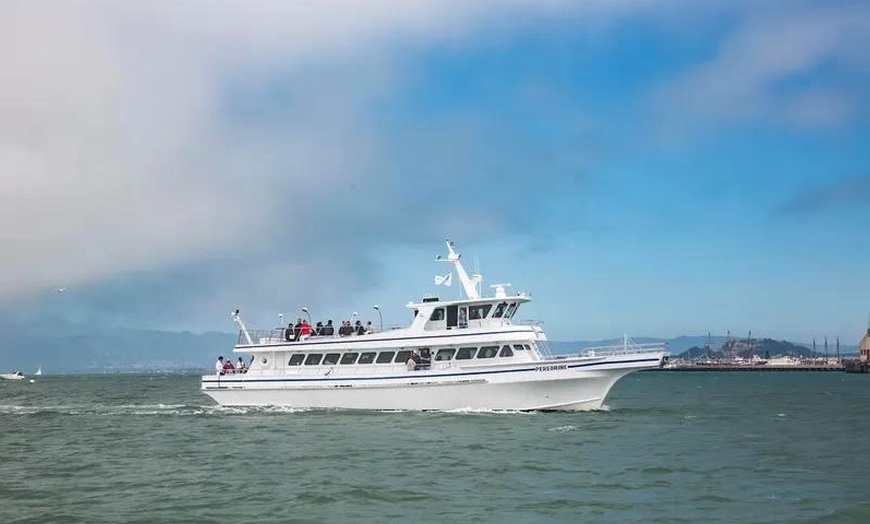Image 3: Luxury San Diego Whale Watching Tour