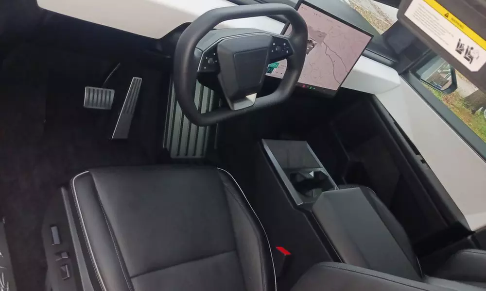 Full Interior Detail + Optional Pet Hair, Stain Removal or Basic Wash