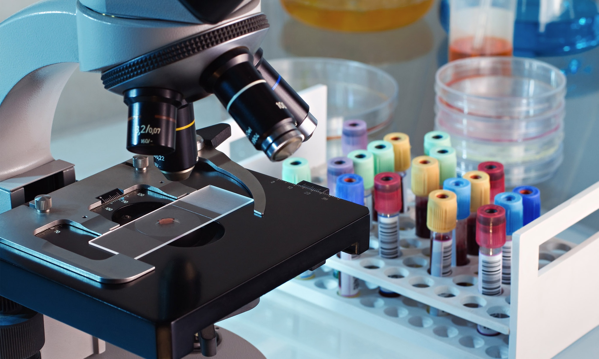 Comprehensive Wellness Panels For Men & Women – Test, Track, & Thrive