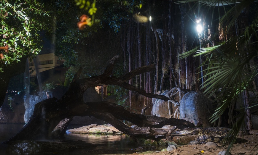 Image 2: Entrada nocturna a Bioparc Fuengirola con cena para niño o adulto