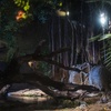 Image 2: Entrada nocturna a Bioparc Fuengirola con cena para niño o adulto