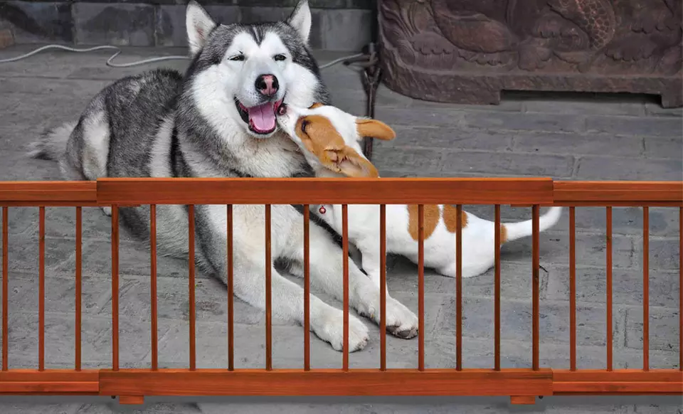 Expandable Wooden Pet Gate - Second Medium